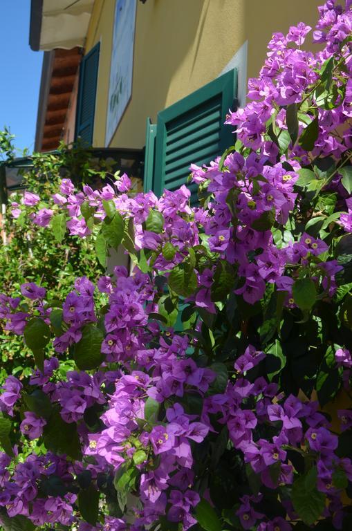 La Meridiana Affittacamere Colorno Buitenkant foto
